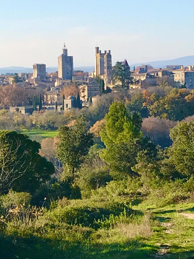 Maison De Roche-Uzes Centre Historique L' Ucetia المظهر الخارجي الصورة